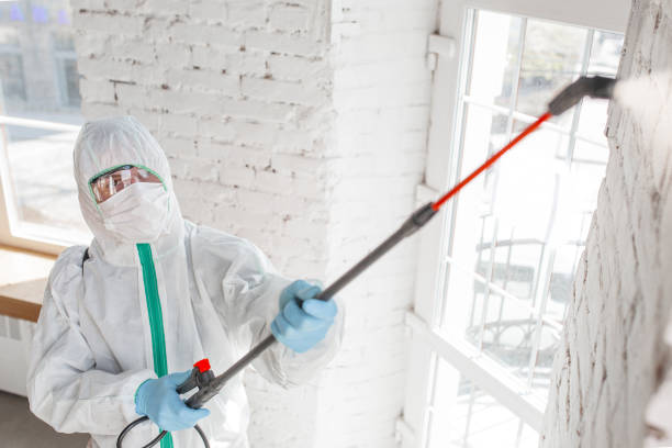 Best Dehumidification Services  in , DE