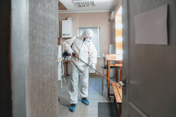 Best HVAC Mold Inspection and Cleaning  in , DE