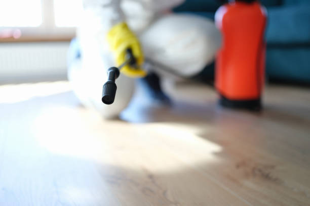 Best Indoor Air Quality Assessment  in , DE
