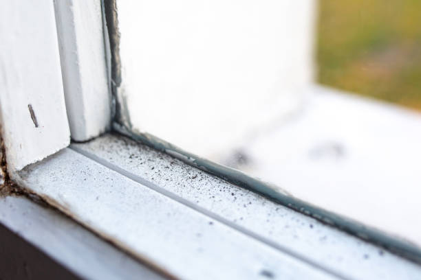 Best Residential Mold Inspection & Testing  in , DE