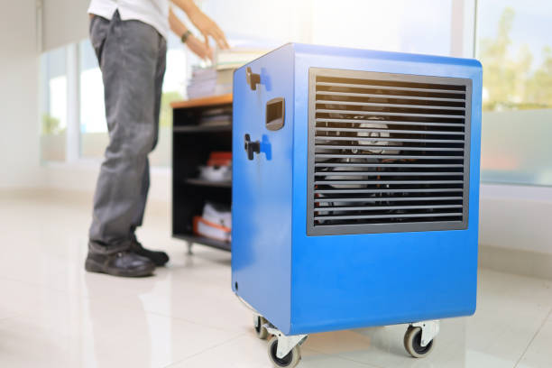 Best Industrial Mold Remediation  in , DE